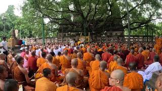 International maha sangha chanting under the holy Bodhi tree [upl. by Meagher982]