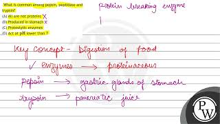 What is common among pepsin peptidase and trypsin A All are not proteins B Produced in sto [upl. by Ellehcam]