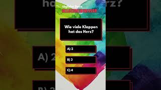 Allgemeinwissen Quiz quiz quiztime allgemeinwissen [upl. by Critta]