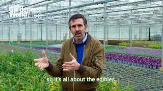 AnnouncingAdam Frosts Show Garden at BBC Gardeners World Live [upl. by Okiruy461]