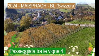 2024  MAISPRACH BL Svizzera  Passeggiata tra le vigne 4 [upl. by Chantalle919]