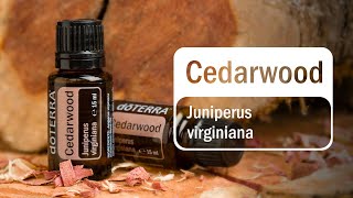 doTERRA Cedarwood Translated Subtitles [upl. by Odranreb]