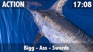 500lb Broadbill Swordfish Trys to Attack Boat [upl. by Nilved]