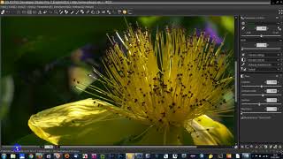 Adjusting Highlights and Shadows in Silkypix [upl. by Winni]