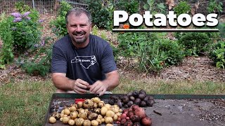 How to grow potatoes in potato bags with Van Meuwen [upl. by Emerald]