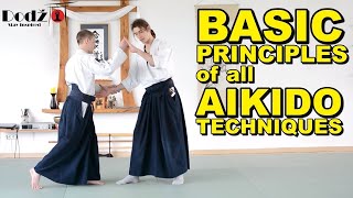 Aikido Principles You MUST Know [upl. by Leval]