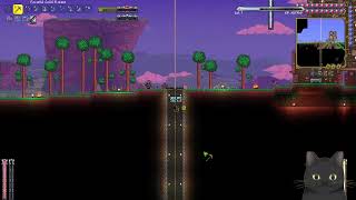 Modded Terraria EP 11 [upl. by Nesbitt]