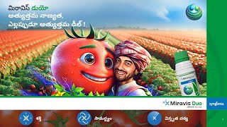 Syngenta  Miravis Duo  Tomato  Motion Poster  Telugu [upl. by Adaiha]