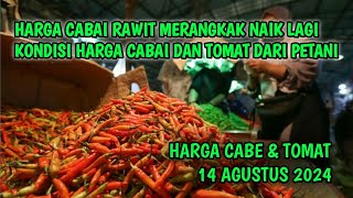 Harga cabai merah hari ini 14 Agustus 2024  Info harga tomat dan cabai saat ini di Jawa Timur [upl. by Jasisa315]