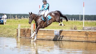 Dark Secret 2008 Skewbald gelding  for sale March 2024 [upl. by Pogue]