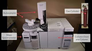 Gas chromatography mass spectrometry [upl. by Edgell]