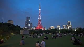 4K・ Evening to night walk at Daimon and Tokyo tower with stairs・4K HDR [upl. by Viradis865]