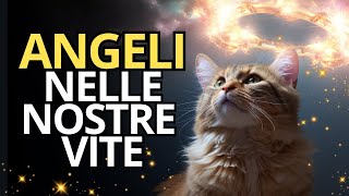 Il Significato Spirituale di ogni COLORE DI GATTO [upl. by Atneciv]