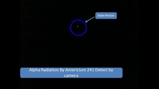 Alpha Decay Of Americium 241 [upl. by Nnahtur]