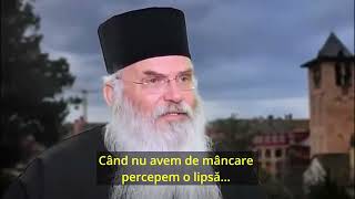 Despre scopul creștinilor ne vorbește IPS Nicolae Mitropolitul Mesoghiei şi Lavreoticii [upl. by Vani]