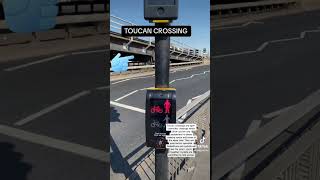 What is a toucan crossing drivingtest car foryou drivingschool drivinglesson driving [upl. by Aehtorod]