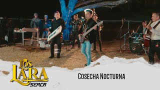 Los Lara  Cosecha Nocturna  Video Oficial [upl. by Akemej796]