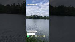 Kambugamuwa Lake 🇱🇰 🛩🛥⛱🌴🐋🐘🐆 [upl. by Gaven]