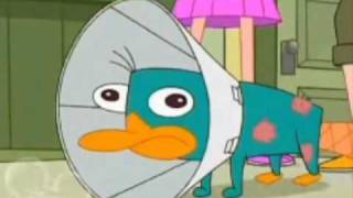 Perry The Platypus  The Platypus Song [upl. by Elleuqar17]