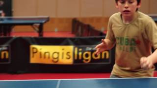 Our Junior Elites practicing their serves in Eslöv  Brighton table tennis club [upl. by Ahsitul]