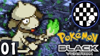 6 Smeargle Challenge Pokemon Black  PART 1 [upl. by Rednave]