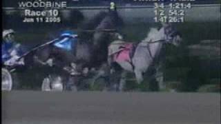 2005 Woodbine ADMIRALS EXPRESS Track Record [upl. by Meehsar]