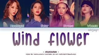 MAMAMOO 마마무 – WIND FLOWER Color Coded Lyrics EngRomHan가사 [upl. by Ignacia]