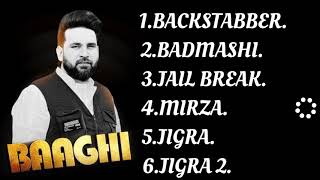 BAAGHI SONG  TOP6 Audio Song [upl. by Akcinat593]