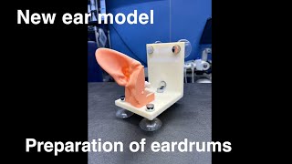 New ear model  Preparation of eardrums [upl. by Llenej]