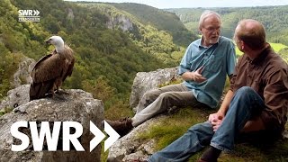 Spuren im Stein  Die Geschichte der Schwäbischen Alb  SWR Geschichte amp Entdeckungen [upl. by Nally502]