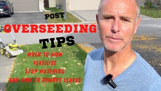 After Overseeding Remove Leaves First Cut Apply Fertilizer Stop Watering Treat Weeds overseed [upl. by Baudoin931]