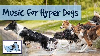 20 Minutes of Relaxing Dog Music  Keep your PuppyDog Calm Music for Hyper Dogs [upl. by Odey931]