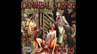 Cannibal Corpse  Decency Defied instrumental  karaoke track [upl. by Eesak]