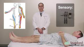 Approach to Low Back Pain Physical Exam  Stanford Medicine 25 [upl. by Tiossem]