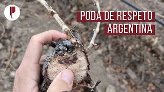 Poda de respeto Argentina [upl. by Neiviv]