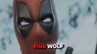 Dead Pool New Movie  explain Dead Pool [upl. by Katushka490]