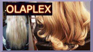 KAPUTTE HAARE REPARIEREN MIT OLAPLEX BEHANDLUNG I ANWENDUNG I before and after I Blond [upl. by Ssirk]