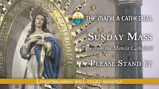 Mass with the Cofradia de la Inmaculada Concepcion  December 01 2024 200pm [upl. by Lainey]