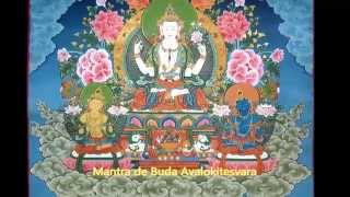 Mantra de Avalokitesvara el Buda de la Compasión [upl. by Yemiaj]