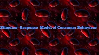 Stimulus Response Model of Consumer Behaviour [upl. by Olympia]