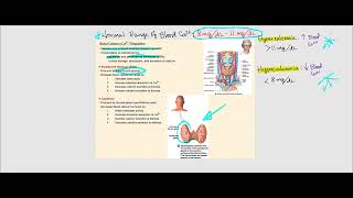 Lecture Video 7 Bone Tissue [upl. by Kassity211]