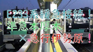 E233系急行伊勢原×準急本厚木緩急接続 小田急登戸駅 代走レア貴重 [upl. by Rafat]