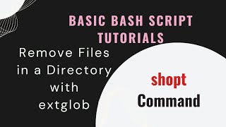 Bash script How to remove all files except the ones that matches pattern [upl. by Tuorah]