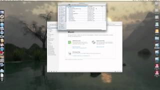 iTunes Library Import [upl. by Enahs411]