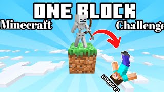 Minecraft one block survival challenge part 1 [upl. by Sukhum]