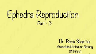 Ephedra Reproduction Part  3  Dr Renu Sharma [upl. by Einatsed]