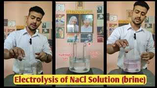 Electrolysis of NaCl Solution Brine Chlor alkali process ACID BASE And SALTS EXPERIMENT CLASS 10 [upl. by Orest443]