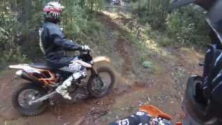 Bush riding  Toolangi state forest [upl. by Noslrac]