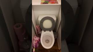 Problème découlement des eaux usées dans les toilettes [upl. by Tavie202]