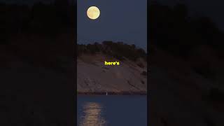 🌕✨Witness the Tranquility The Harvest Moon casts its serene glow over Lake Huron [upl. by Cir]